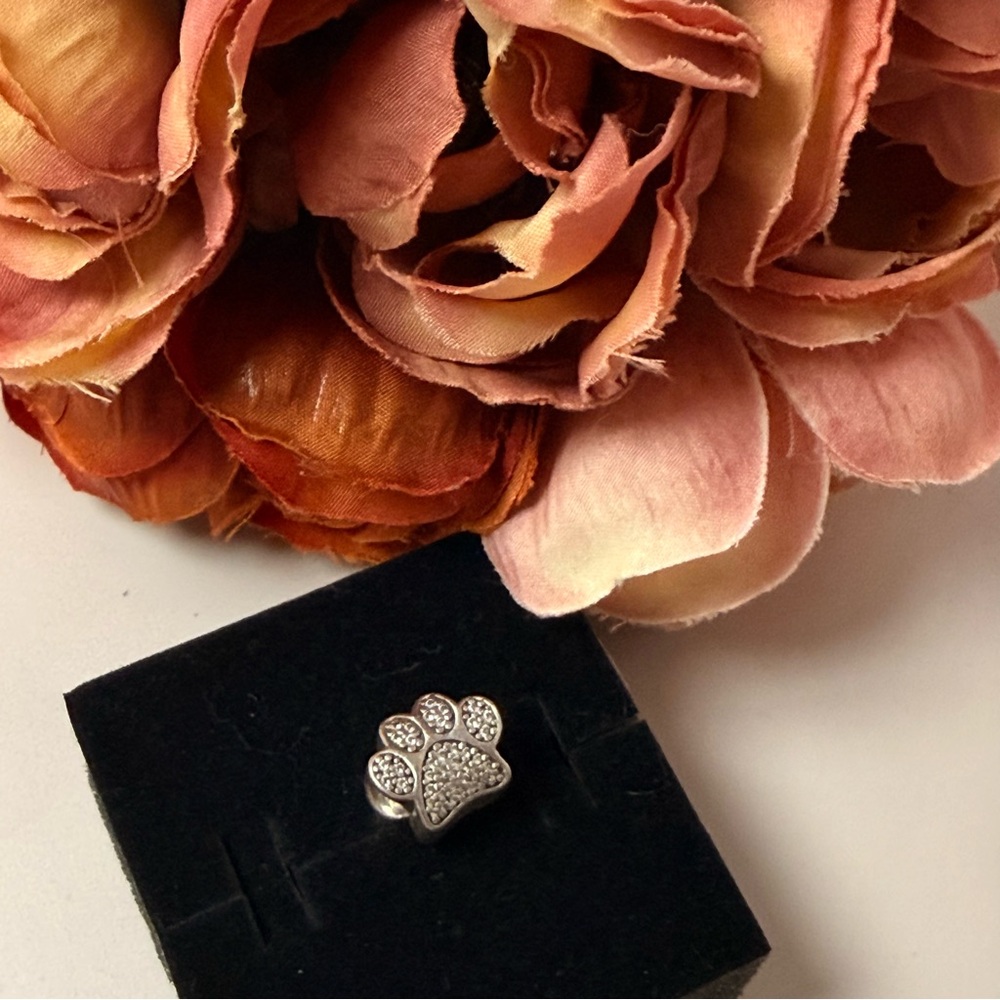 Pandora Silver Sparkling Paw Print Charm